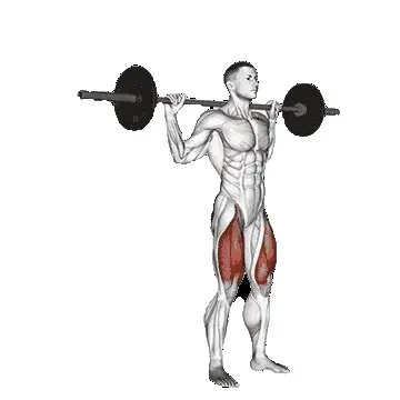 barbell-reverse-lunge