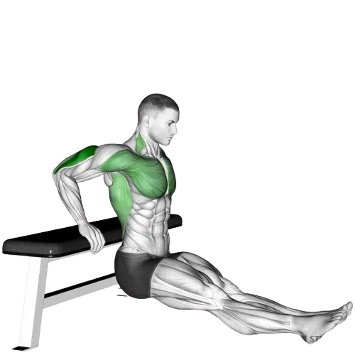 bench-dips