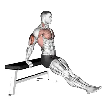 bench-dips