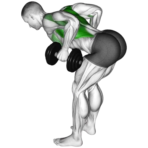 bent-over-dumbbell-row