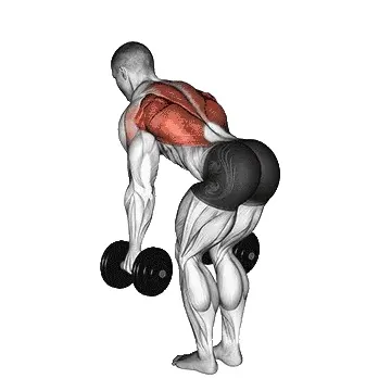 bent-over-dumbbell-row