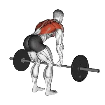 bent-over-row