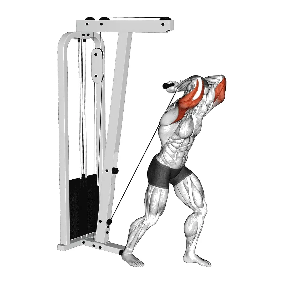 cable-overhead-tricep-extension