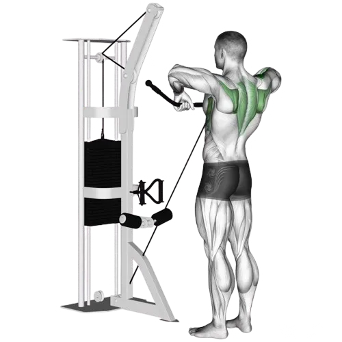 cable-upright-row