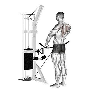 cable-upright-row