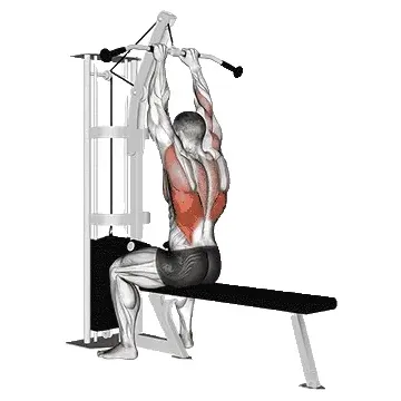 close-grip-lat-pulldown