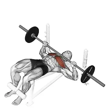 decline-bench-press