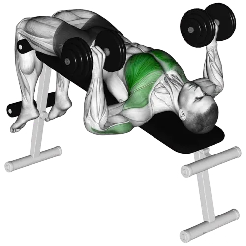 decline-dumbbell-bench-press