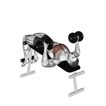 decline-dumbbell-bench-press