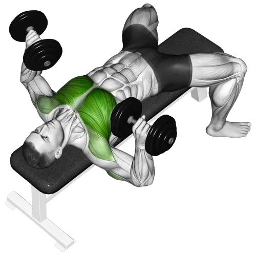 dumbbell-bench-press