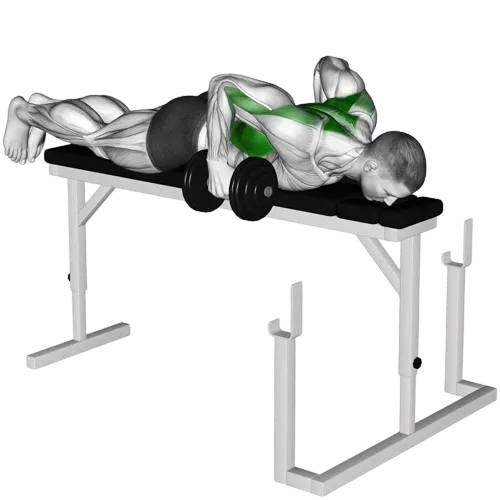 dumbbell-bench-pull