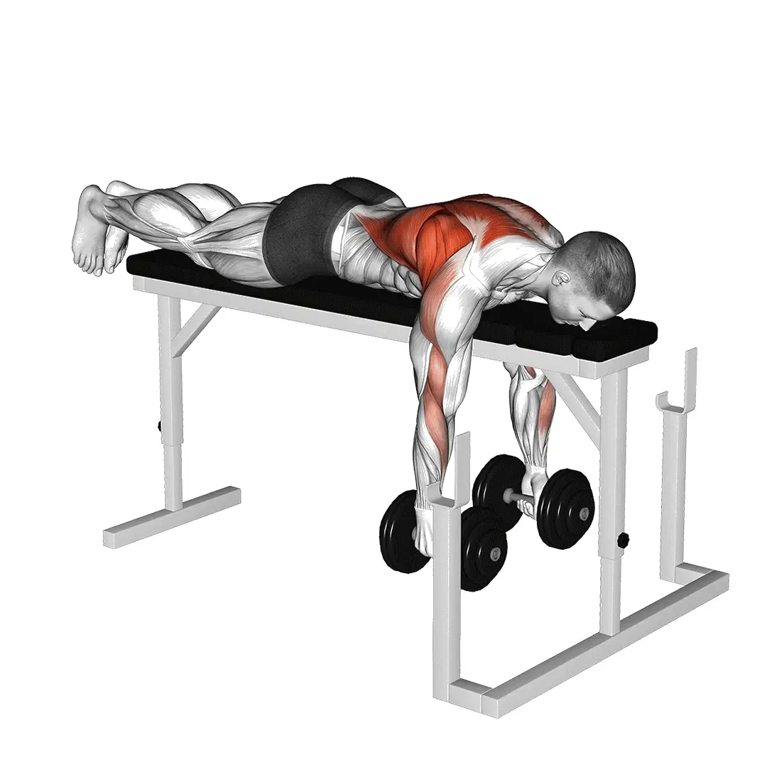 dumbbell-bench-pull