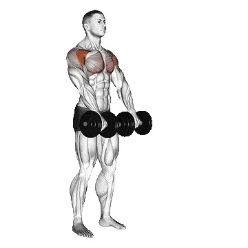 dumbbell-front-raise