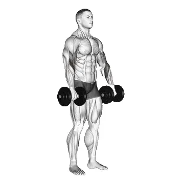 dumbbell-reverse-curl