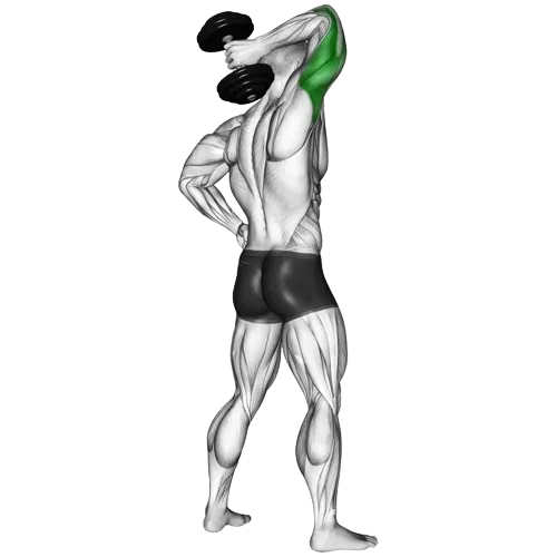 dumbbell-tricep-extension