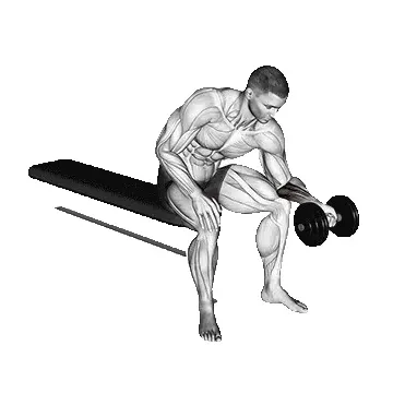 dumbbell-wrist-curl