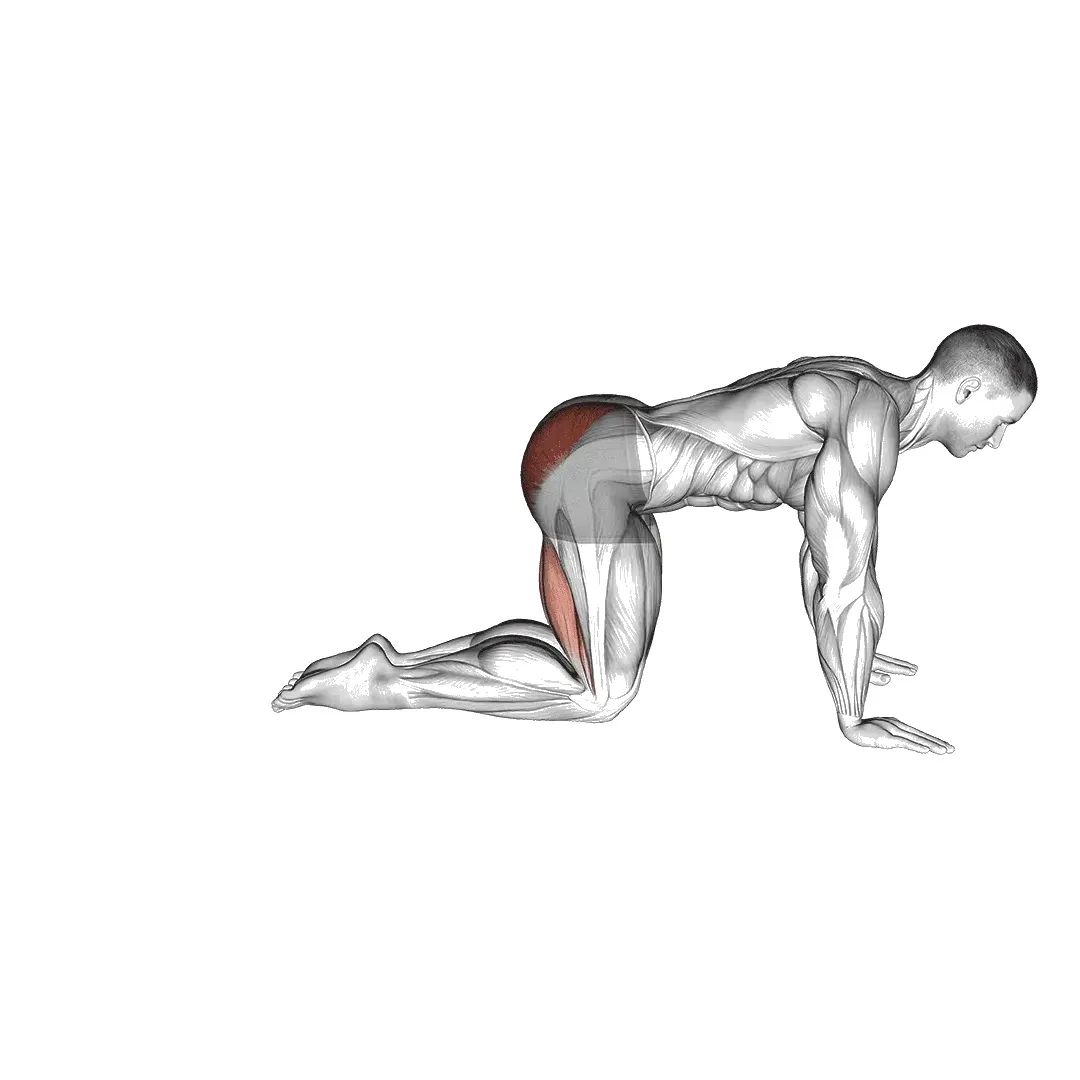 floor-hip-extension