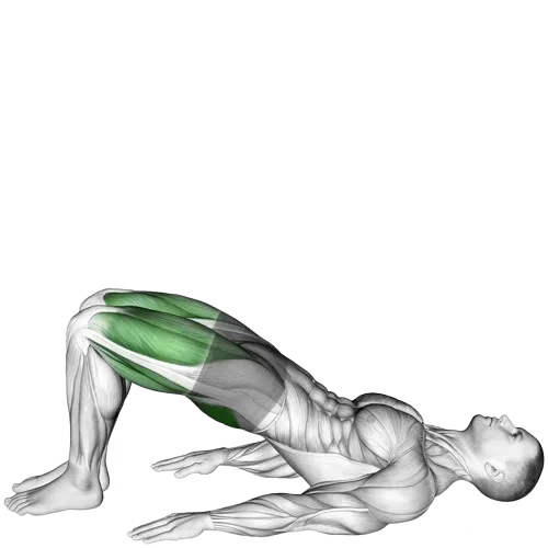 glute-bridge