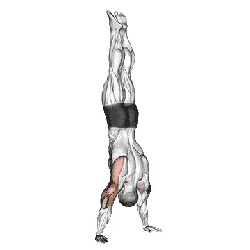 handstand-push-ups