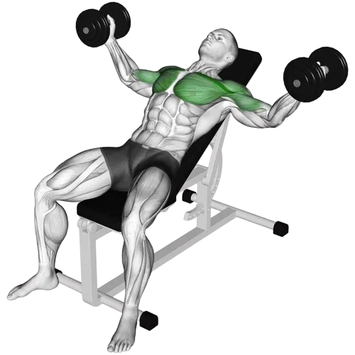 incline-dumbbell-fly