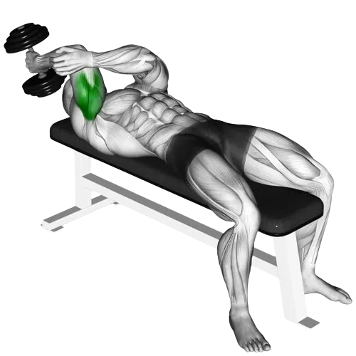 lying-dumbbell-tricep-extension