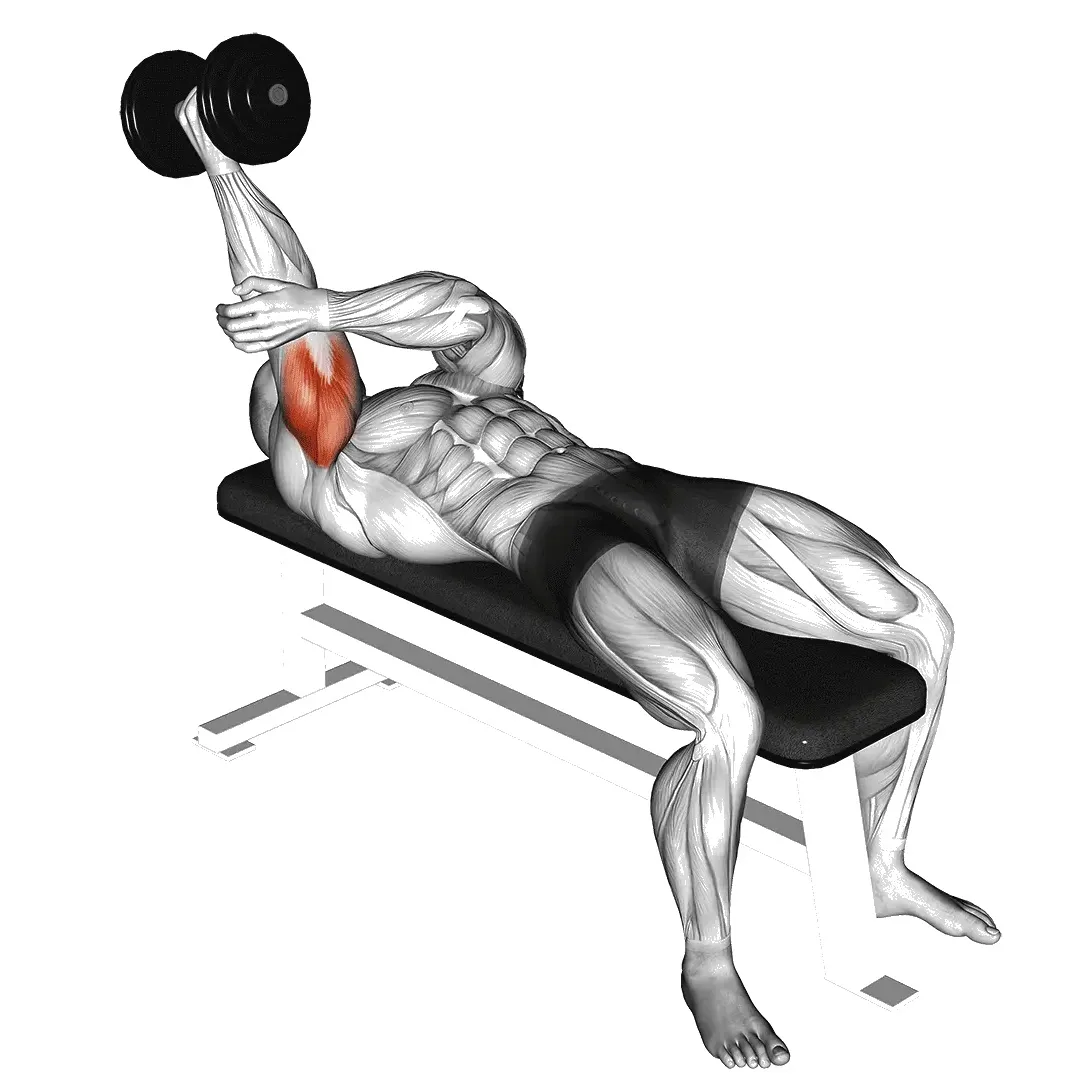 lying-dumbbell-tricep-extension