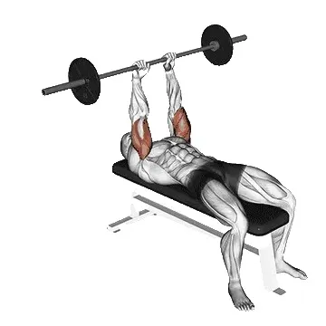 lying-tricep-extension