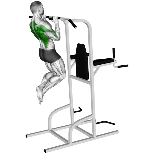 neutral-grip-pull-ups