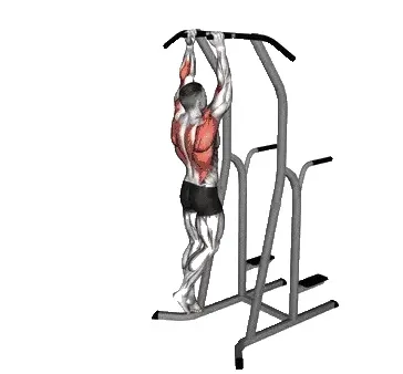 neutral-grip-pull-ups