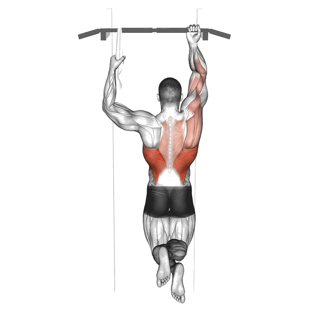 one-arm-pull-ups