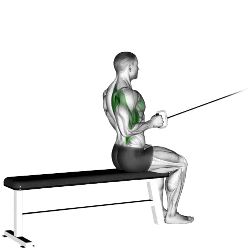 one-arm-seated-cable-row