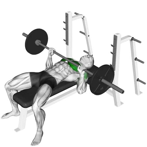 paused-bench-press