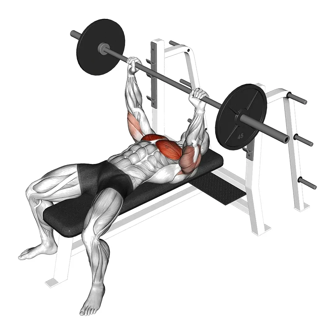 paused-bench-press