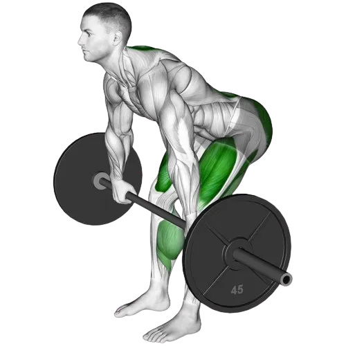 paused-deadlift