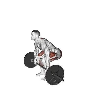 paused-deadlift