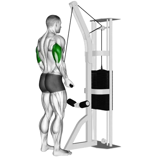 reverse-grip-tricep-pushdown