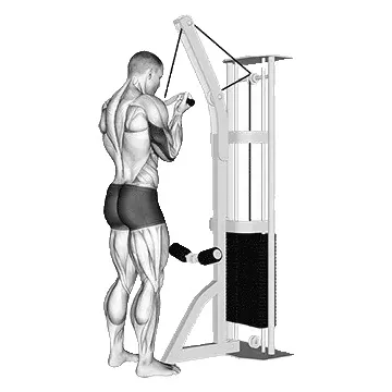 reverse-grip-tricep-pushdown