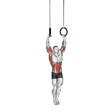 ring-muscle-ups