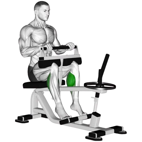 seated-calf-raise