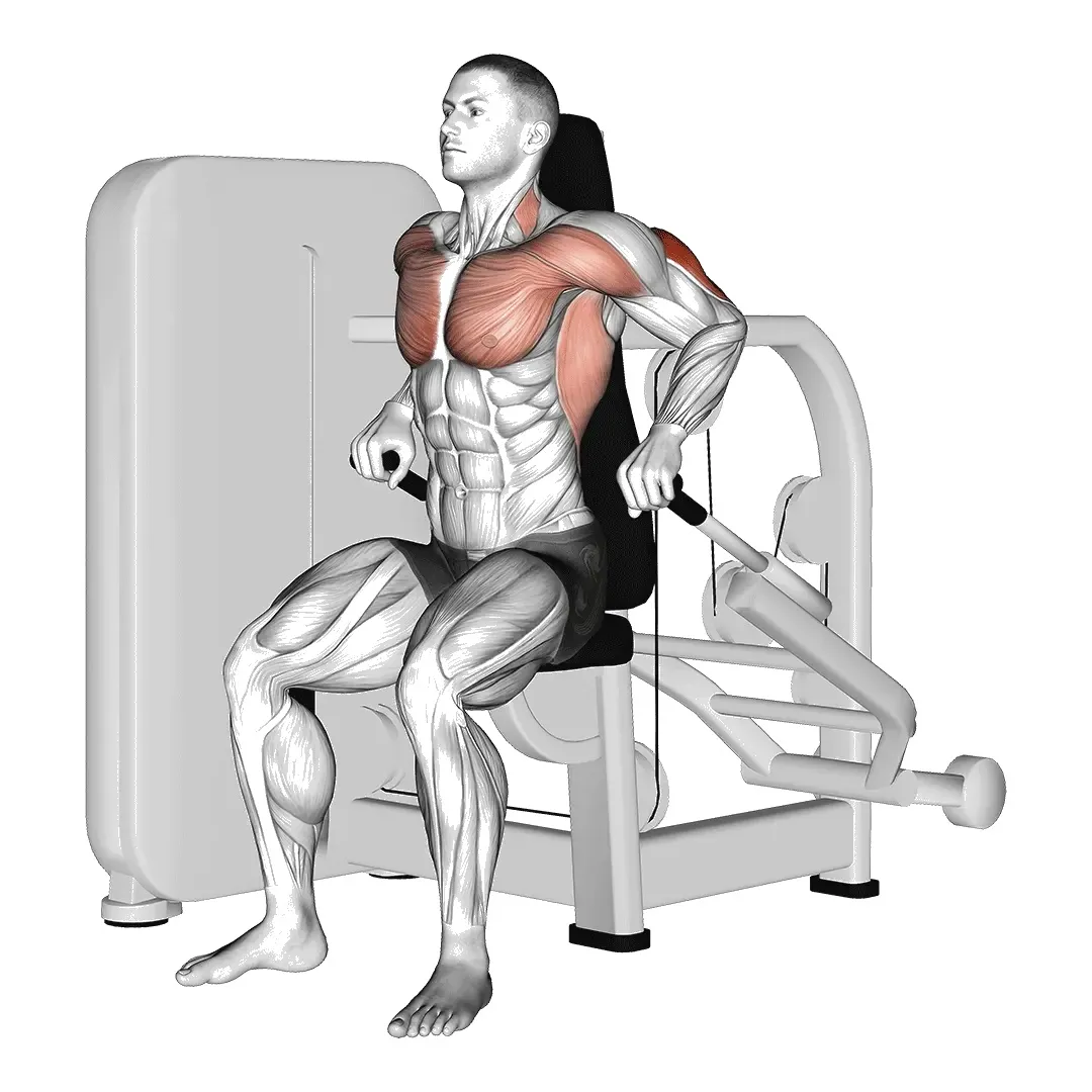 seated-dips-machine