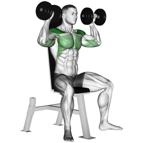 seated-dumbbell-shoulder-press