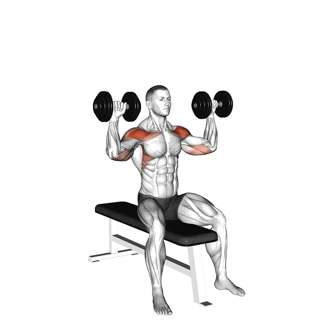 seated-dumbbell-shoulder-press