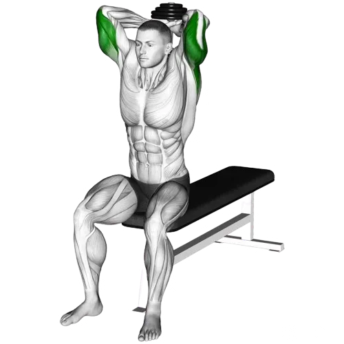 seated-dumbbell-tricep-extension