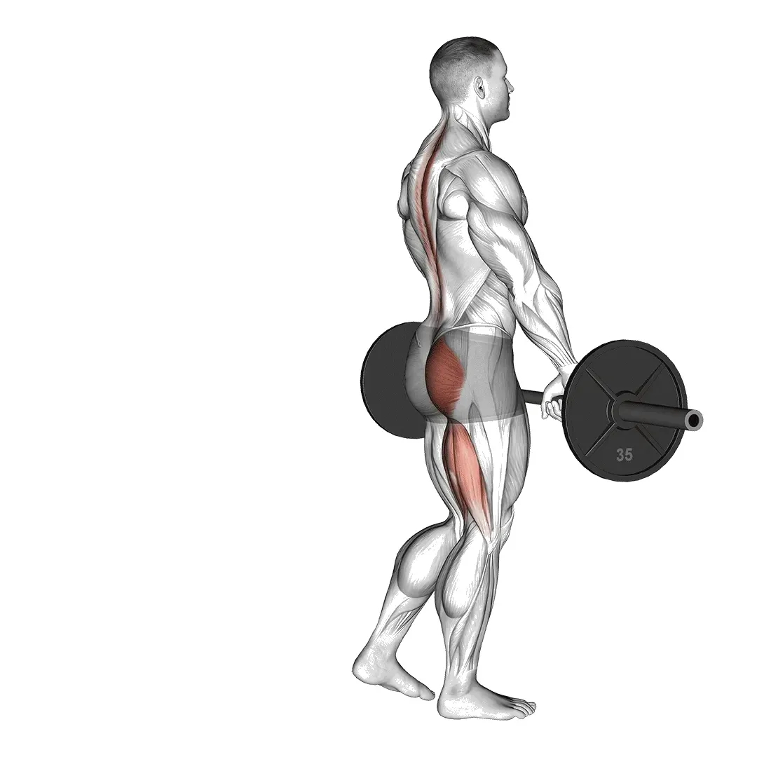 single-leg-romanian-deadlift