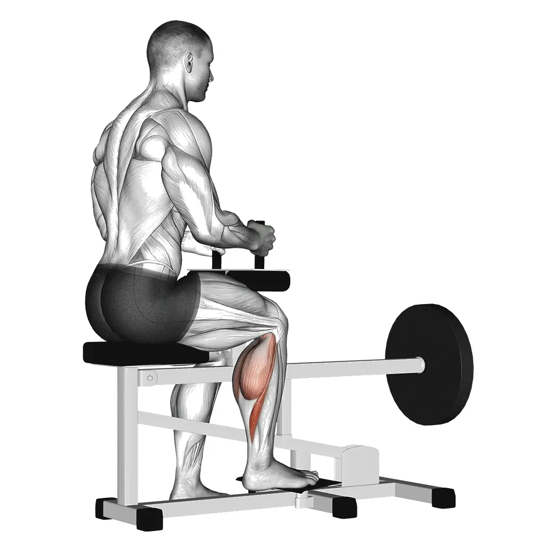 single-leg-seated-calf-raise