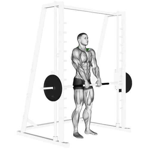 smith-machine-shrug