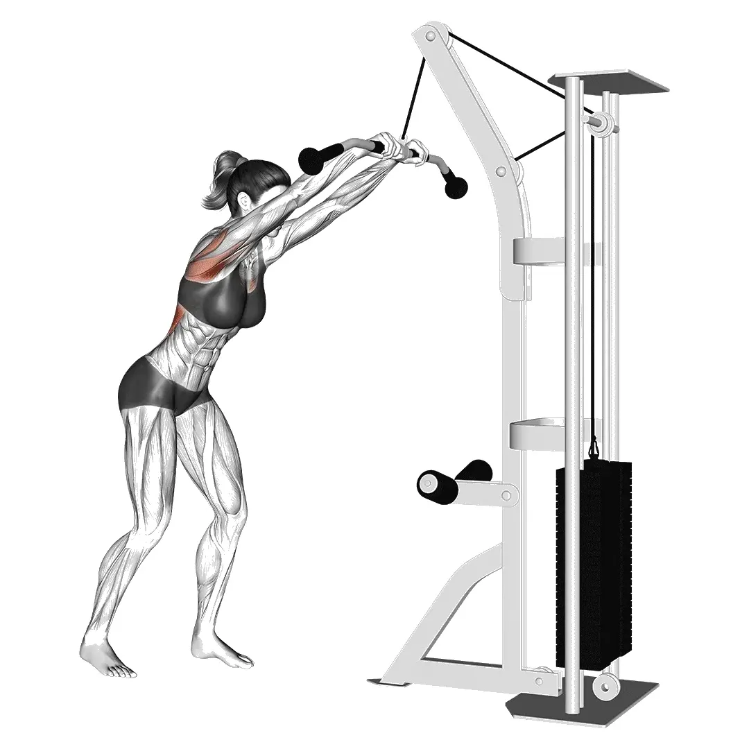 straight-arm-pulldown