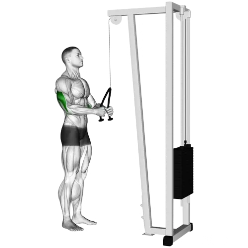 rope-pushdown