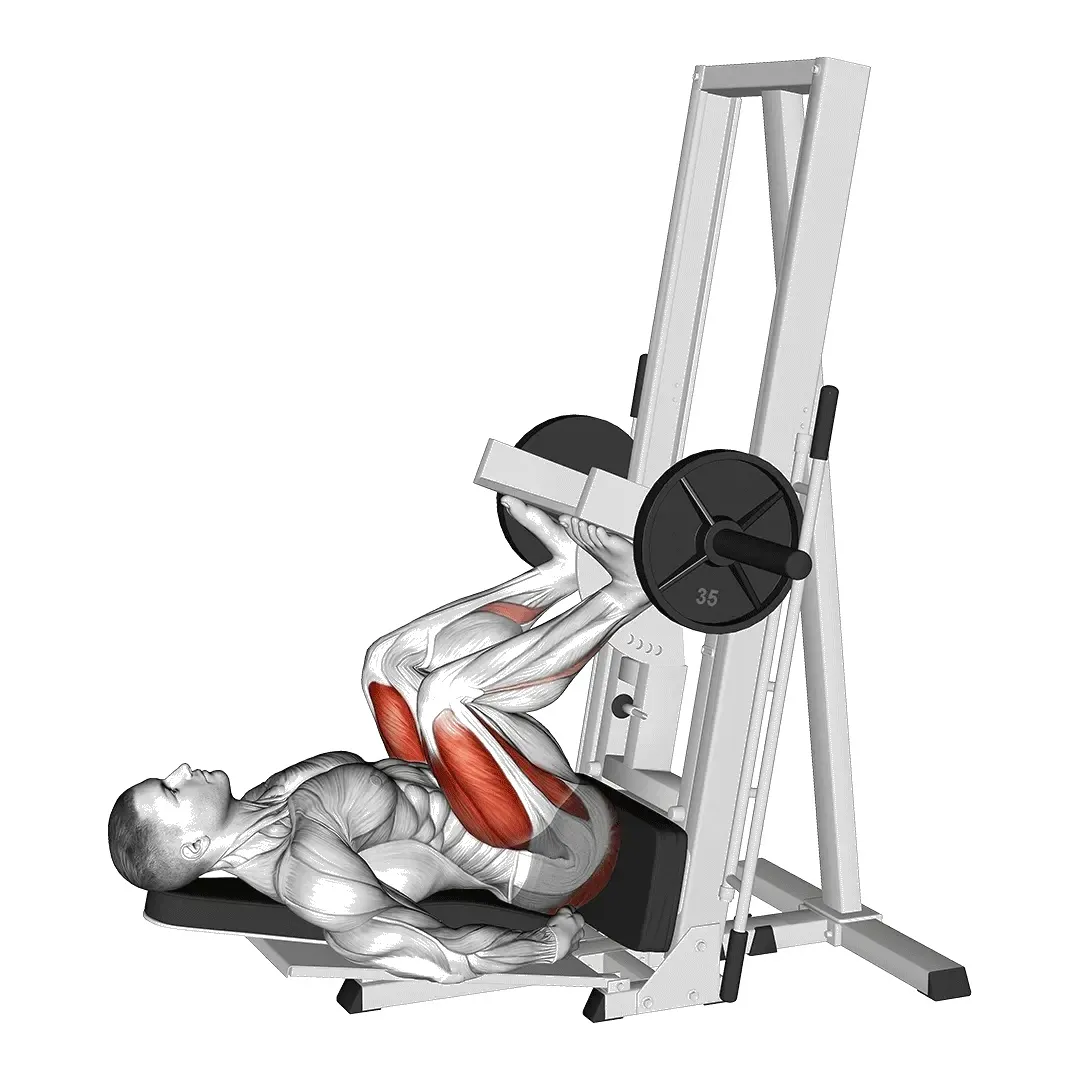 vertical-leg-press